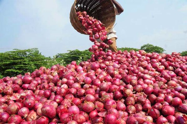 বিশ্বের কোন দেশে পেঁয়াজ কত টাকা কেজি?