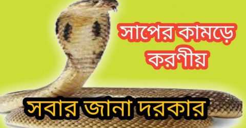 সাপে কামড় দিলে যা যা করণীয়