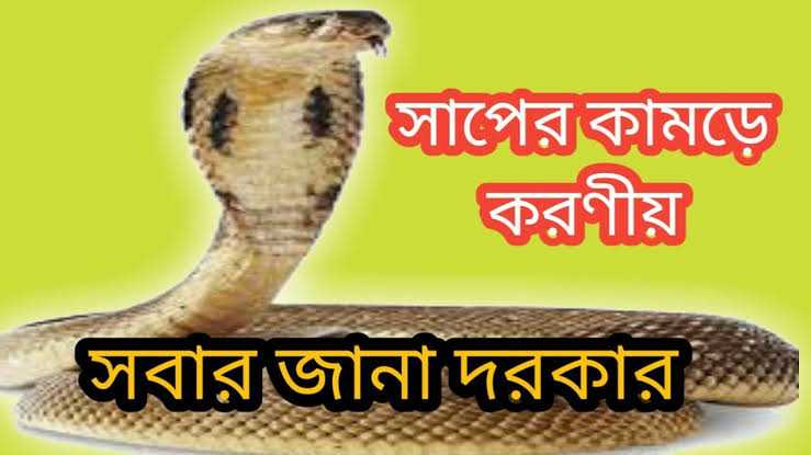 সাপে কামড় দিলে যা যা করণীয়