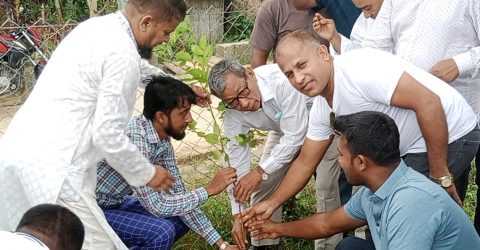 বাঘাইছড়িতে স্বেচ্ছাসেবক লীগের বৃক্ষ রোপণ কর্মসূচির উদ্বোধন