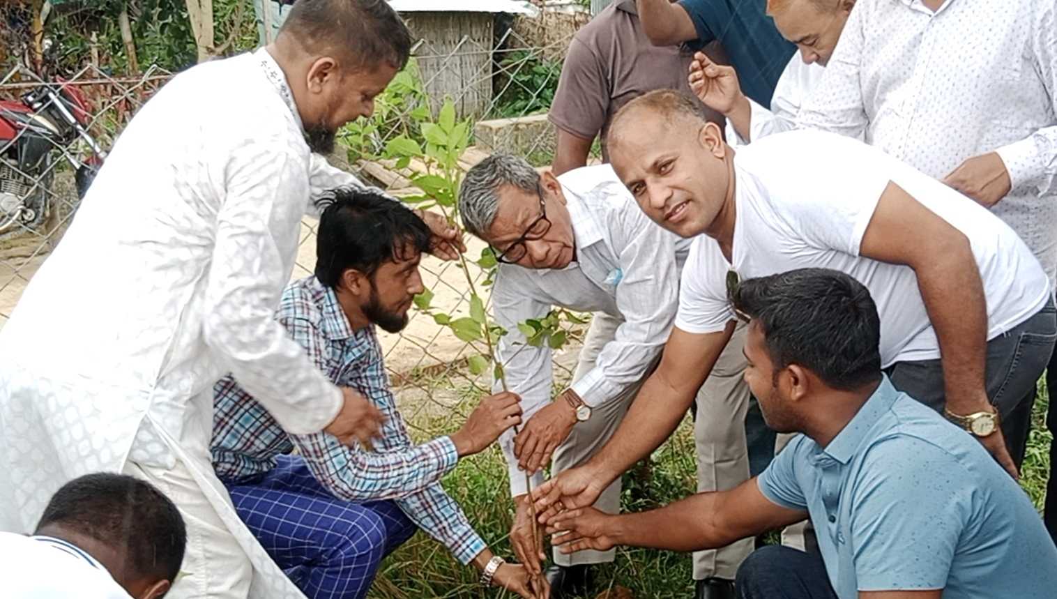 বাঘাইছড়িতে স্বেচ্ছাসেবক লীগের বৃক্ষ রোপণ কর্মসূচির উদ্বোধন