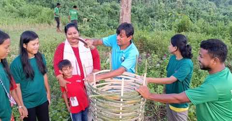 পাঁচ শতাধীক কৃষ্ণচূড়া গাছের চারা রোপনের উদ্যোগ নিয়েছেন ইউ এন ও রুমানা আক্তার